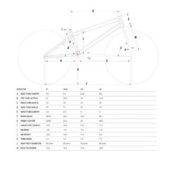 Bmx Gt Performer 20.5" Pêche 2021 -Vélo Expert bmx gt performer 205 peche 2021 4